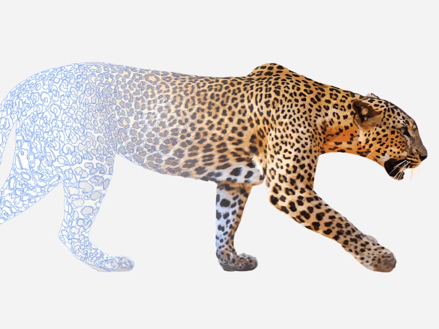 Turn into vector